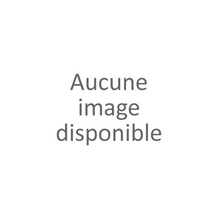 Chèque Cadeau 400€